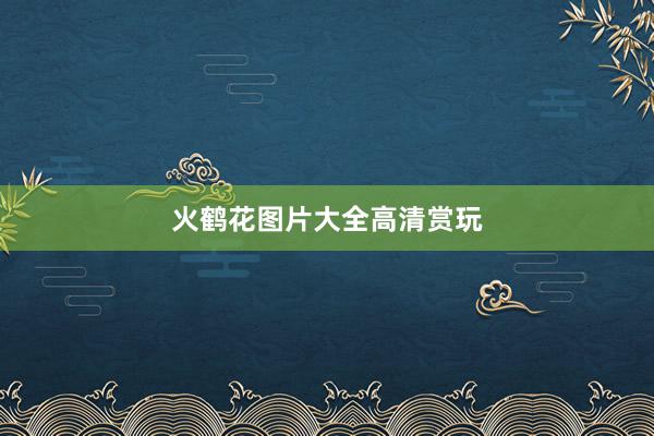 火鹤花图片大全高清赏玩