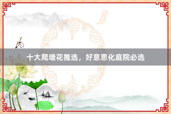 十大爬墙花推选，好意思化庭院必选