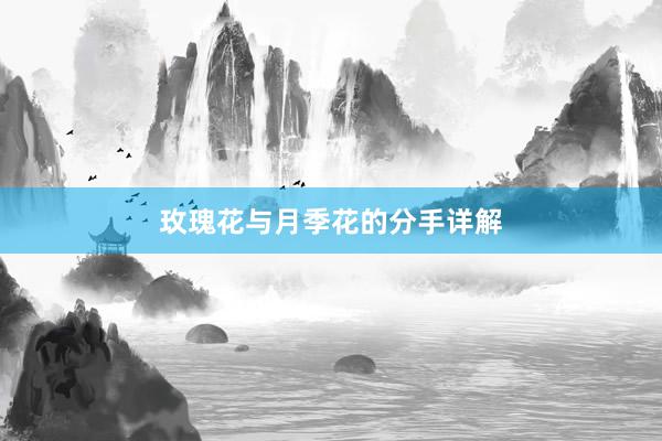 玫瑰花与月季花的分手详解