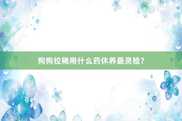 狗狗拉稀用什么药休养最灵验？